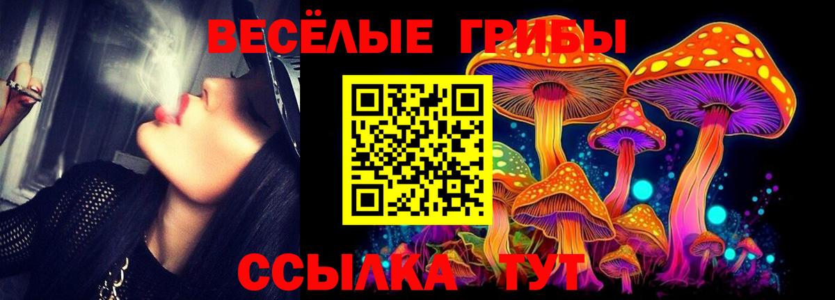 Галлюциногенные грибы мицелий  Псилоцибиновые грибы Cubensis  Куйбышев  Вход с VPN 